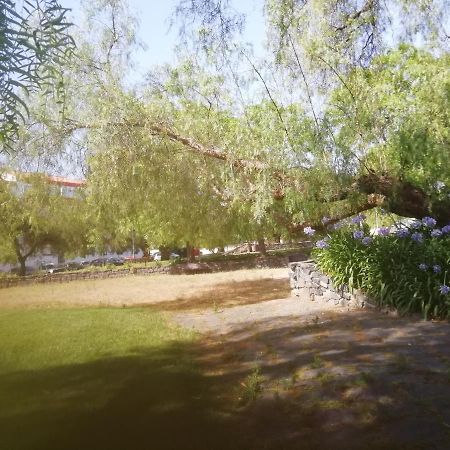 דירות בז'ה Casa Do Jardim מראה חיצוני תמונה