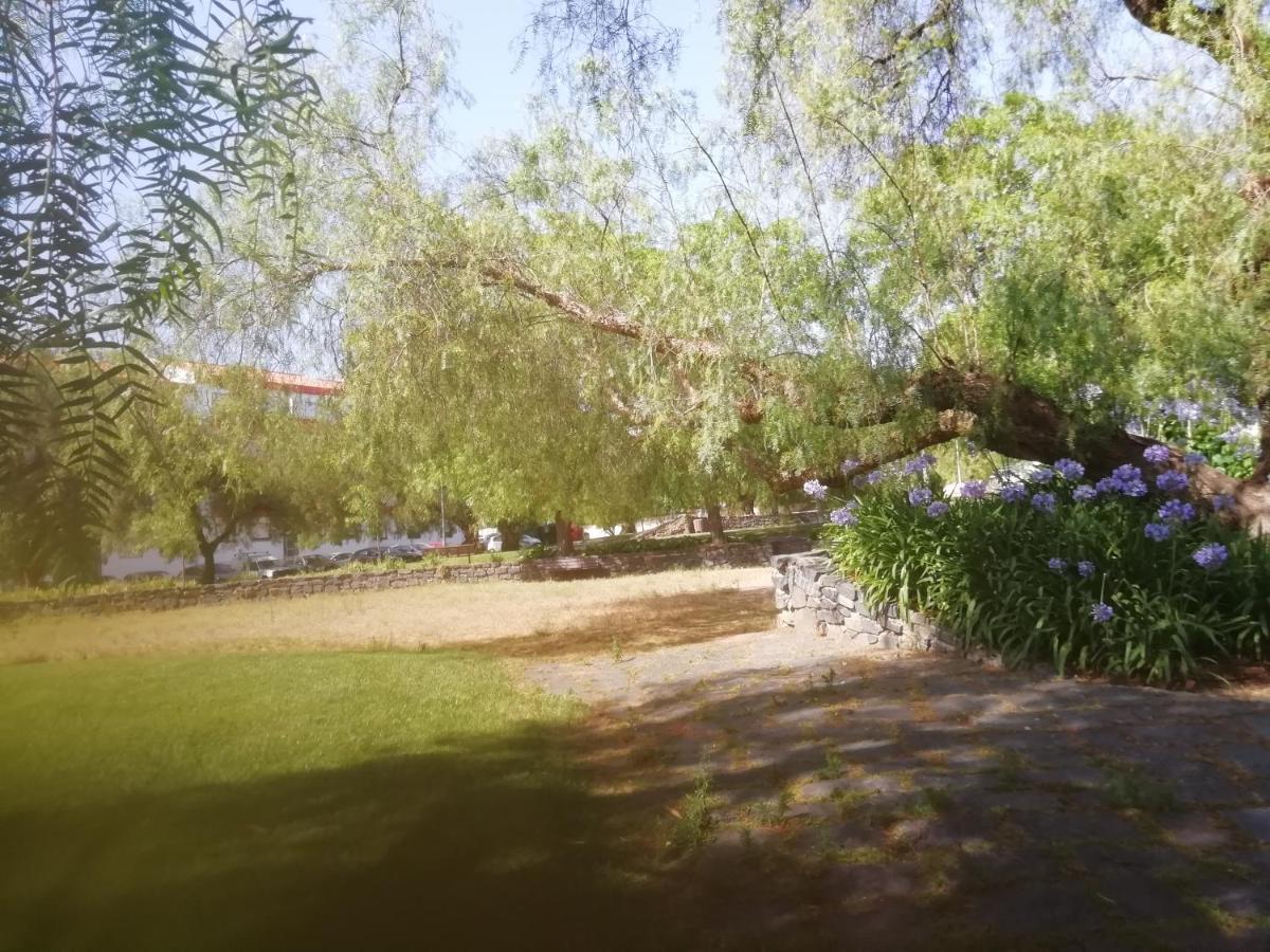 דירות בז'ה Casa Do Jardim מראה חיצוני תמונה