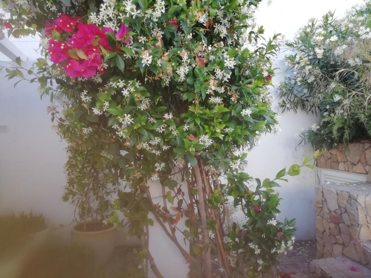 דירות בז'ה Casa Do Jardim מראה חיצוני תמונה